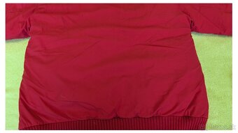 Pánska zimná bunda The North Face - 6