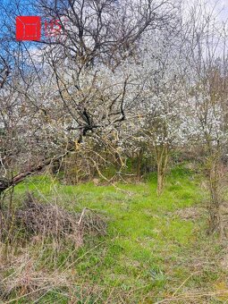 Predaj staršieho RD v obci Dubník - 6