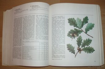 Atlas Liečivých rastlín a lesných plodov - 6
