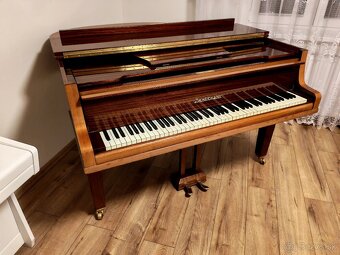 Nepremeškajte Najmenšie klavírne krídlo - 6