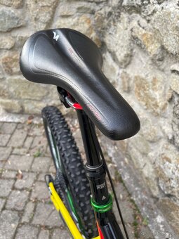Specialized Stumpjumper 26” L - 6