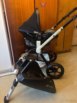 Kocik Concord Wanderer - 6