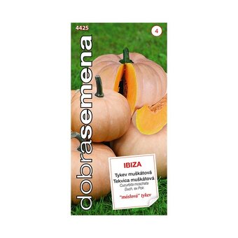 Tekvica, cuketa - semená - 6
