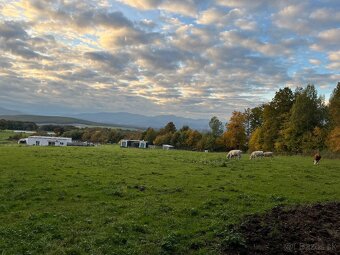 Ustajnenie v Lehote pod Vtáčnikom - 6