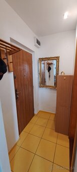 Slnečný 1izbový byt na Kováčovej - 6
