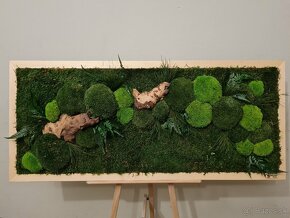 Machový obraz rastliny - 6