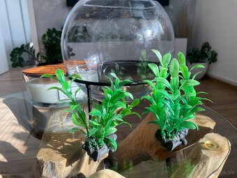 Akvarium +stojan 2x umelé rastlinky , 2.druhy kamienkov potr - 6