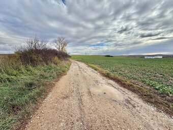 Predaj pozemok katastrálne územie Gemer 8689 m2 - 6