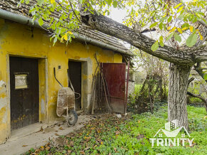 Na predaj Rodinný dom s rozsiahlym pozemkom v obci Komoča - 6