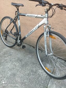 Bicykel horský dinotti XC 5004 - 6