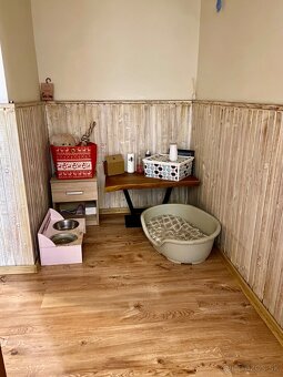 Nezariadeny velky 2.ibyt v RD - 6