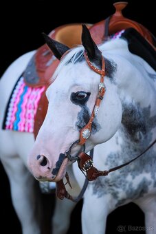 American Paint Horse kobylka frame overo - 6