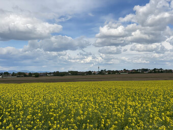 Pozemky v krásnom prostredí v Bernolákove za priaznivú cenu - 6