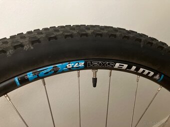 Horský bicykel Dema Pegas 5.0 - 6