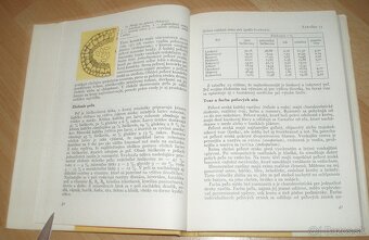 Medonosné rastliny - 6