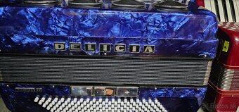 Harmonika delicia - 6