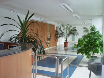 Kancelárske priestory, Nevädzova, Bratislava II. - 6