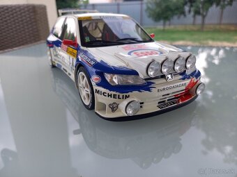 1:18 Rally - 6