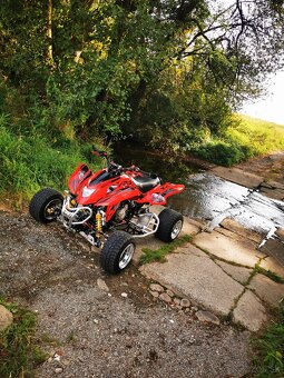 Dinli 450 nitrogen edition - 6