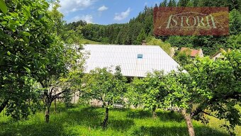 dom + veľká záhrada - Čremošné - okr. Turč.Teplice - 6