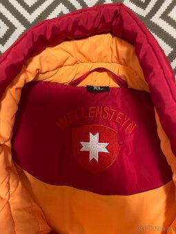 Wellensteyn vesta - 6