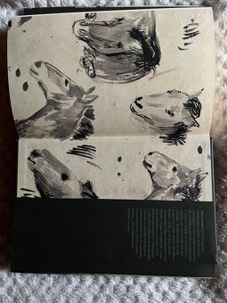 Kôň Przewalského - 6