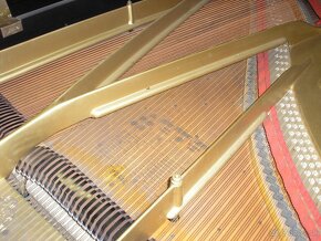 klavír BLUTHNER  230cm - 6
