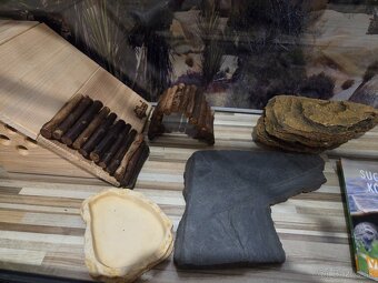 Terárium s vybavením - 6