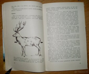 Lovecké praktikum - 6