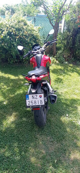 Benelli BN251 - 6