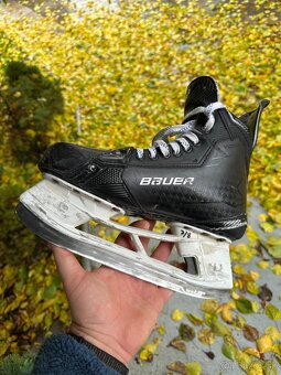 Korcule Bauer Supreme Shadow - 6