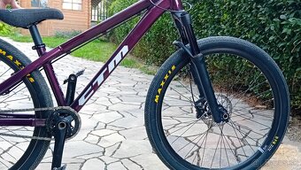 CTM Dirtking Xpert 2022 - 6