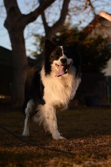 Nikon D5200 s príslušenstvom - 6
