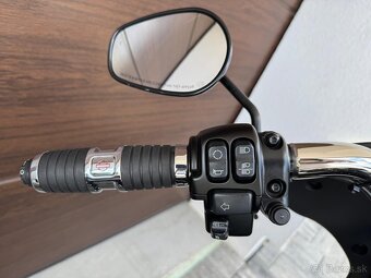 Harley-Davidson Sport Glide 2020, DPH - 6
