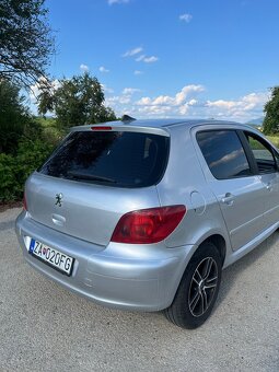 Peugeot 307 - 6