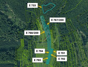 Omastiná – 9.909 m2 LESY a PASIENKY – PREDAJ - 6