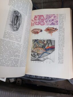 Knihy medicina lekarske.anatomia - 6