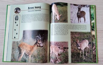 KNIHA NAŠA ZVER OBRAZOVÁ ENCYKLOPÉDIA - 6