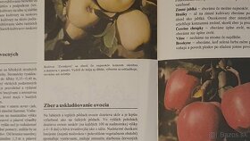 Stará záhradkárska encyklopédia - 6