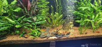 Akvárium Diversa 450l - 6
