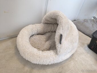 Morča Darujem zdarma - 6