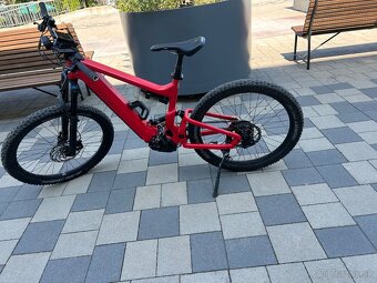 Riese & Müller Delite Rohloff 2020 - 6