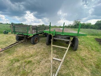 Pluh trojak trojhlavý - 6