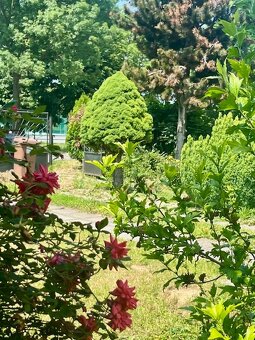RD Preseľany, 4 izby, pozemok - 6