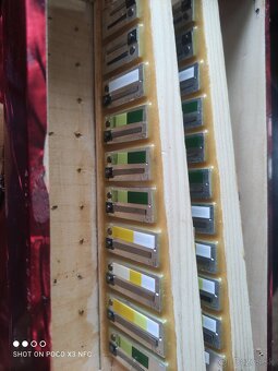 Heligonka Delicia Popular - 6