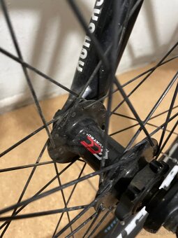 Dirt Kellys Whip - 6