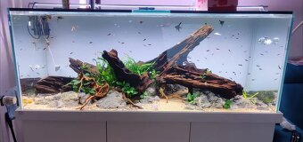 LED svetlo na akvárium do 200cm/75w - 6