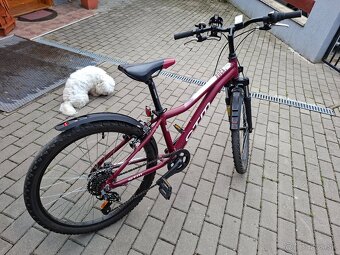 Detský bicykel 24 - 6