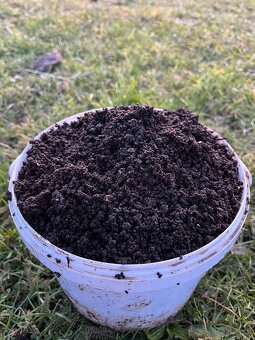 Vermikompost - 5L - 6