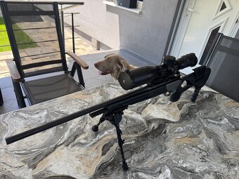 Blaser r8 Silverstone - 6